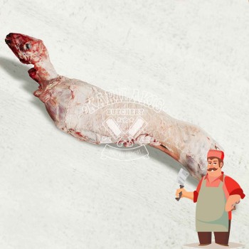 Αρνί Ολόκληρο Νωπό Αρνί Ολόκληρο Νωπό